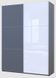 Шафа купе Doros G-Caiser Графіт Графіт/Білий 1 ДСП / 1 скло / 3 частини 180х60х240 (42005090) 42005090 фото 1