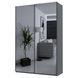 Шафа купе Doros G-Caiser Антрацит 2 Дзеркала / 3 частини 160х60х240 (42005409)