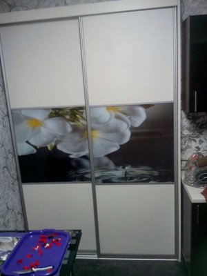 Шафа-купе з орхідеями 1506 фото