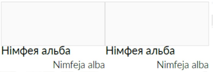 Німфея альба